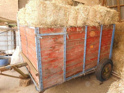 B�taill�re  7750 amougies