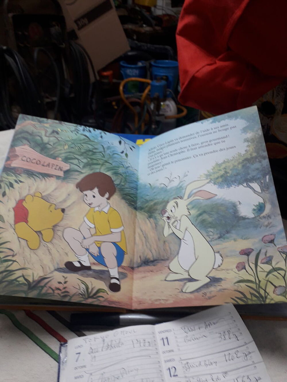 Livre " Winnie l'Ourson " Livres et BD