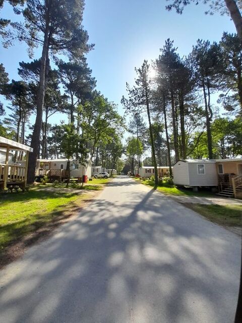 Mobil-Home Mobil-Home 2015 occasion Piriac-sur-Mer 44420