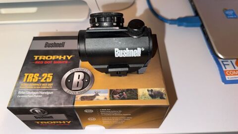 point rouge pour tir carabine 140 Nieudan (15)