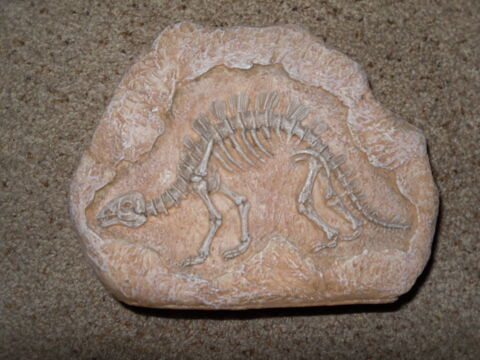 Squelette Dinosaure 21cm fausse pierre, Parfait Etat 12 Neuville-de-Poitou (86)