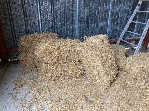 Paillage jardin 3 Sainte-Rad�gonde-des-Noyers (85)