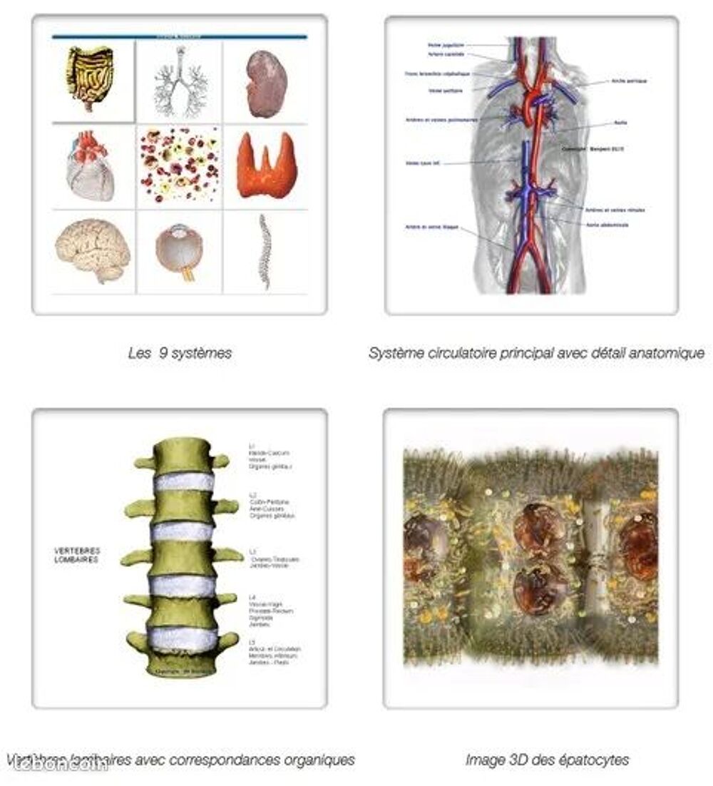 Appareil de bioresonnance Biospect essentiel Matériel informatique