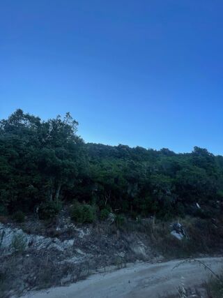  Terrain � vendre 50000 m�