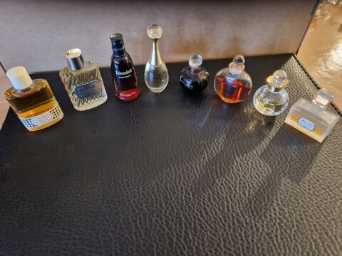 Lot de parfums miniatures Christian Dior  100 Saint-Nicolas-de-la-Haie (76)