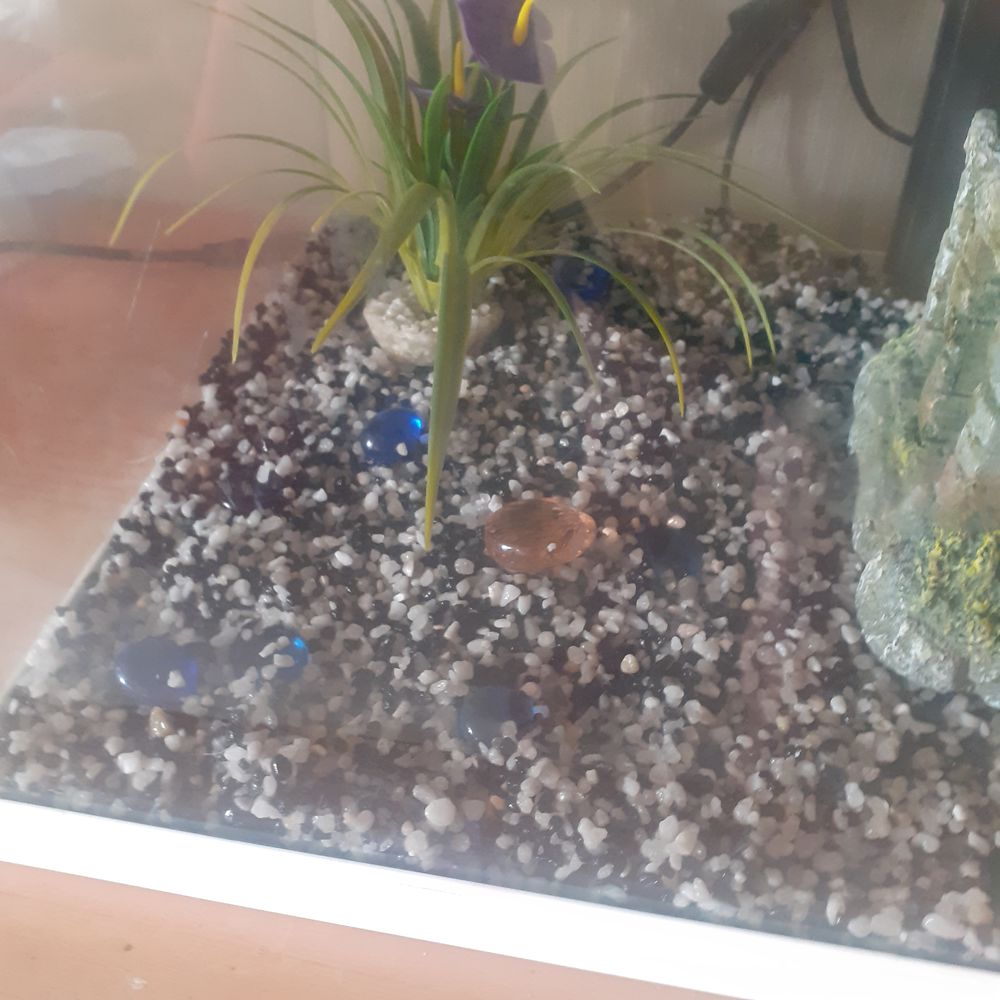 aquarium 60 litres Meubles
