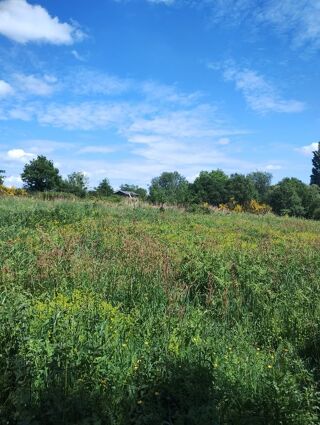  Terrain à vendre 10000 m² Sévérac