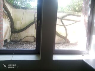  Appartement  louer 1 pice 24 m