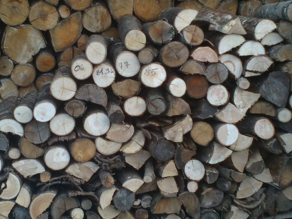 Bois de chauffage Jardin