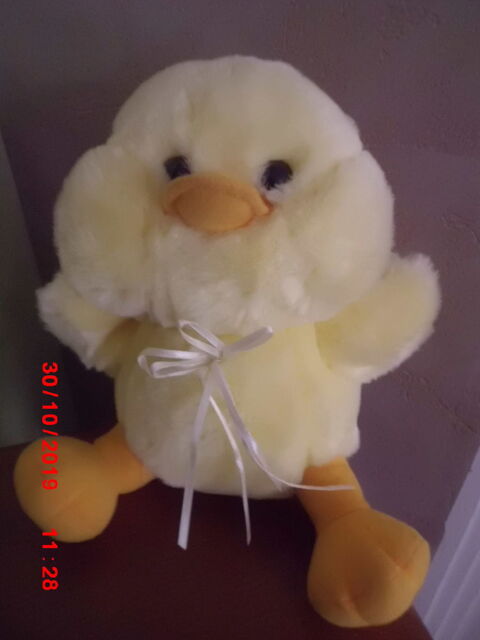 CANARD POTIER VANDIER GPI 16 Oignies (62)