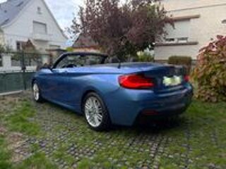 Serie 2 Cabriolet 218d 150 ch BVA8 Lounge 2019 occasion 67600 S&eacute;lestat
