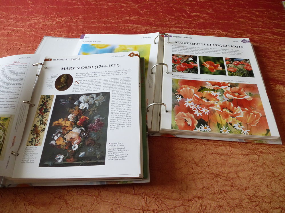 Livres classeurs - collection Livres et BD