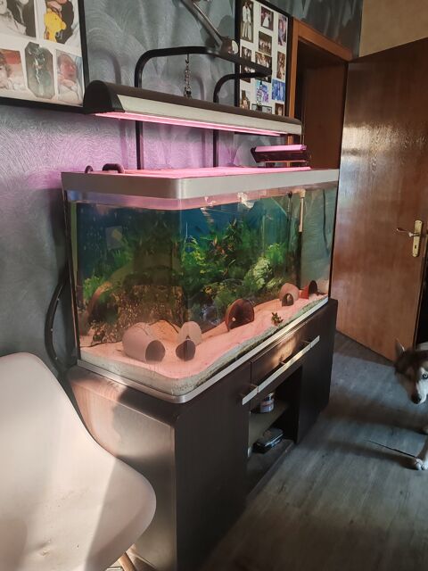 Aquarium 300 litre
200 57915 Woustviller
