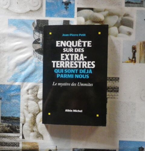 ENQUETE SUR DES EXTRA-TERRESTRES QUI SONT DEJA PARMI NOUS 12 Bubry (56)