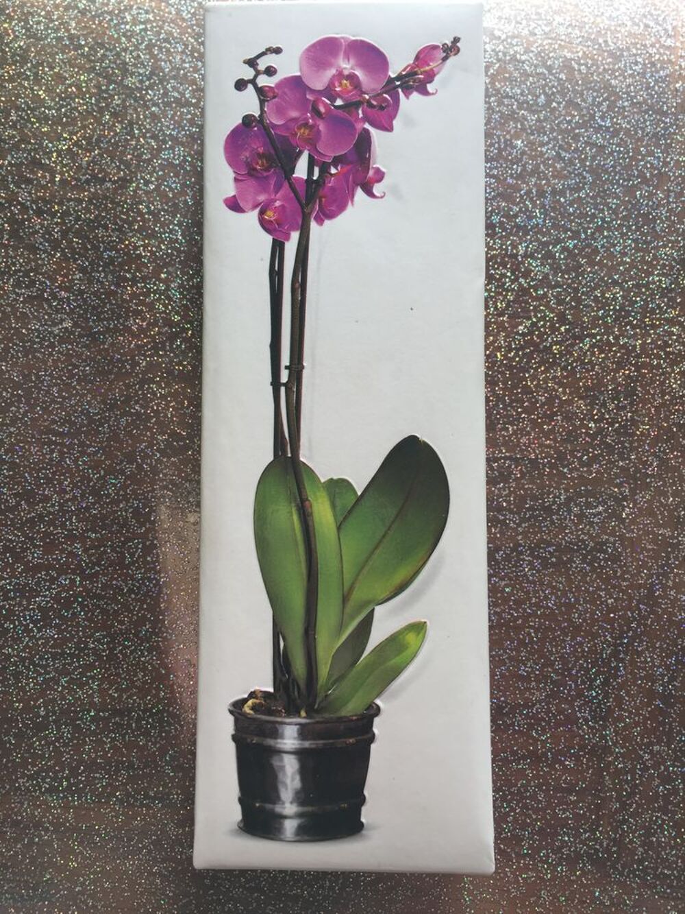 Livre sur les Orchid&eacute;es Livres et BD