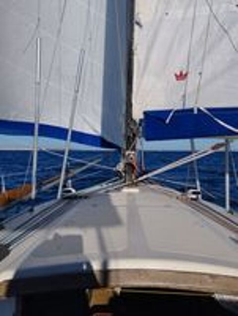 Monocoque 1995 occasion 34300 Agde