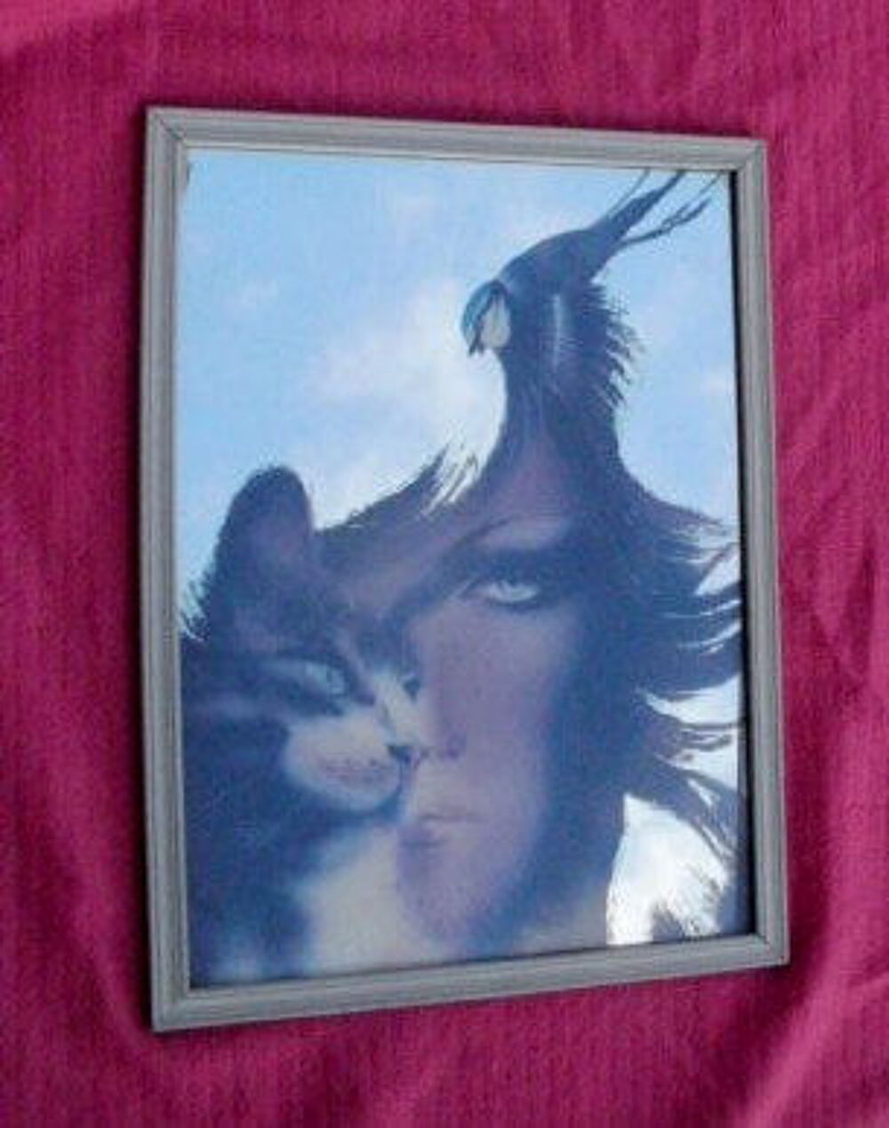 Glace, miroir d&eacute;cor&eacute;, Visage femme, chat, oiseau Décoration