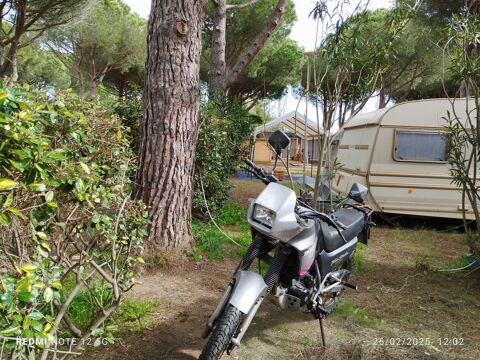 Moto HONDA 1996 occasion Torreilles 66440