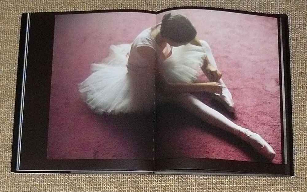 LA DANSE de DAVID HAMILTON Livres et BD