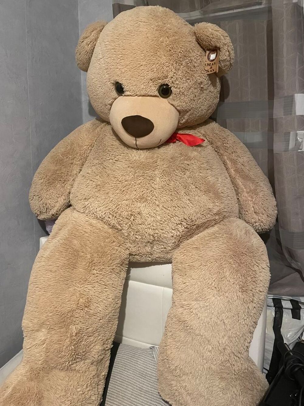 Grosse Peluche Jeux / jouets
