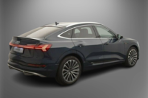 E-TRON e-tron 50 quattro 313 ch S line 2021 occasion 67100 Strasbourg