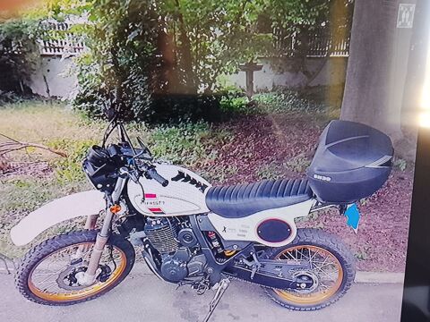 Moto MASH 2024 occasion Bischheim 67800