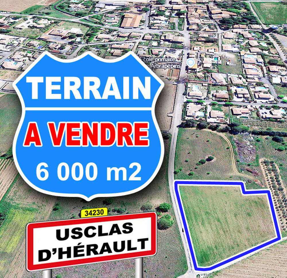 Vente Terrain Terrain de 6000 M2 (34230 Usclas d'Hérault) Usclas-d'hérault