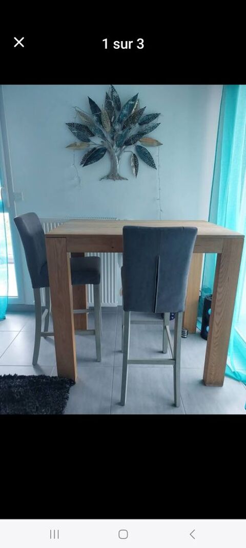 Mange debout et ses 2 chaises hautes 300 Lux (71)