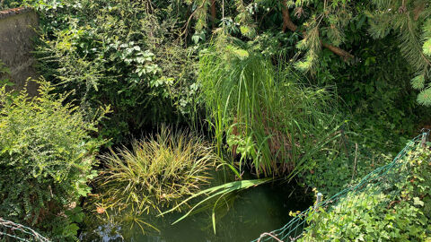   Maison � r�nover + terrain rare 1 580 m� ? Laxou Village Maison - 4 pi�ce(s) - 100 m�