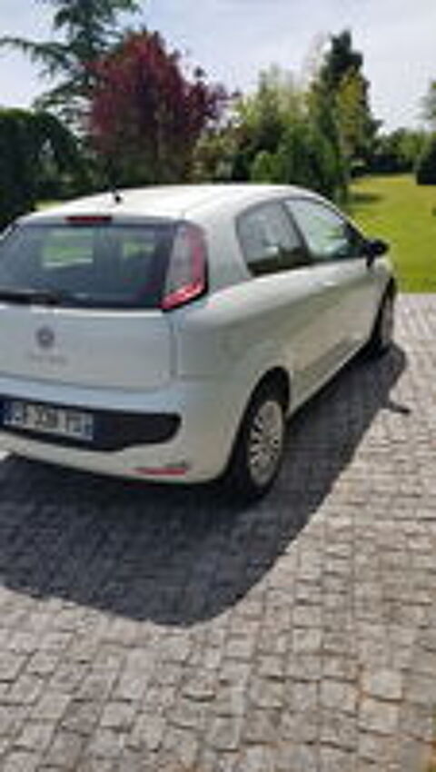 Punto 1.3 Multijet 16V 75 Lounge 2012 occasion 01540 Vonnas