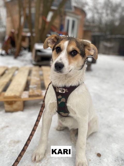 KARI SE TROUVE DANS UN REFUGE EN UKRAINE 0 75018 Paris