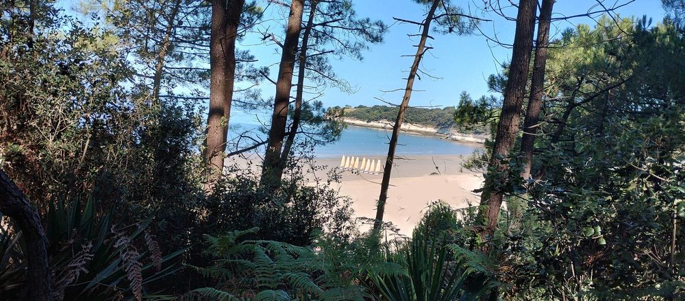 Maison 5 pièces 120 m² · à Meschers-sur-Gironde · 120 m² · 1 000 000 €