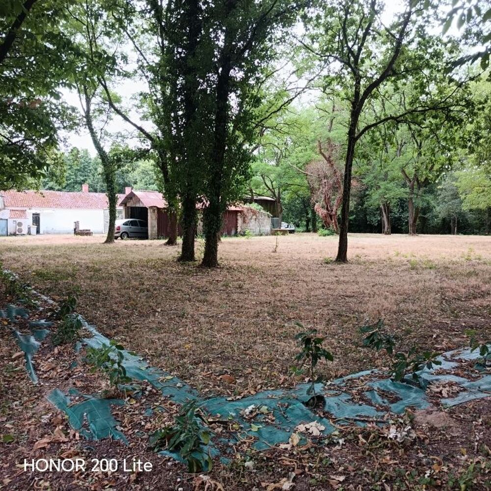 Vente Maison maison 5 pièces 104 m² entouré de 7750 m² de terrain Soullans