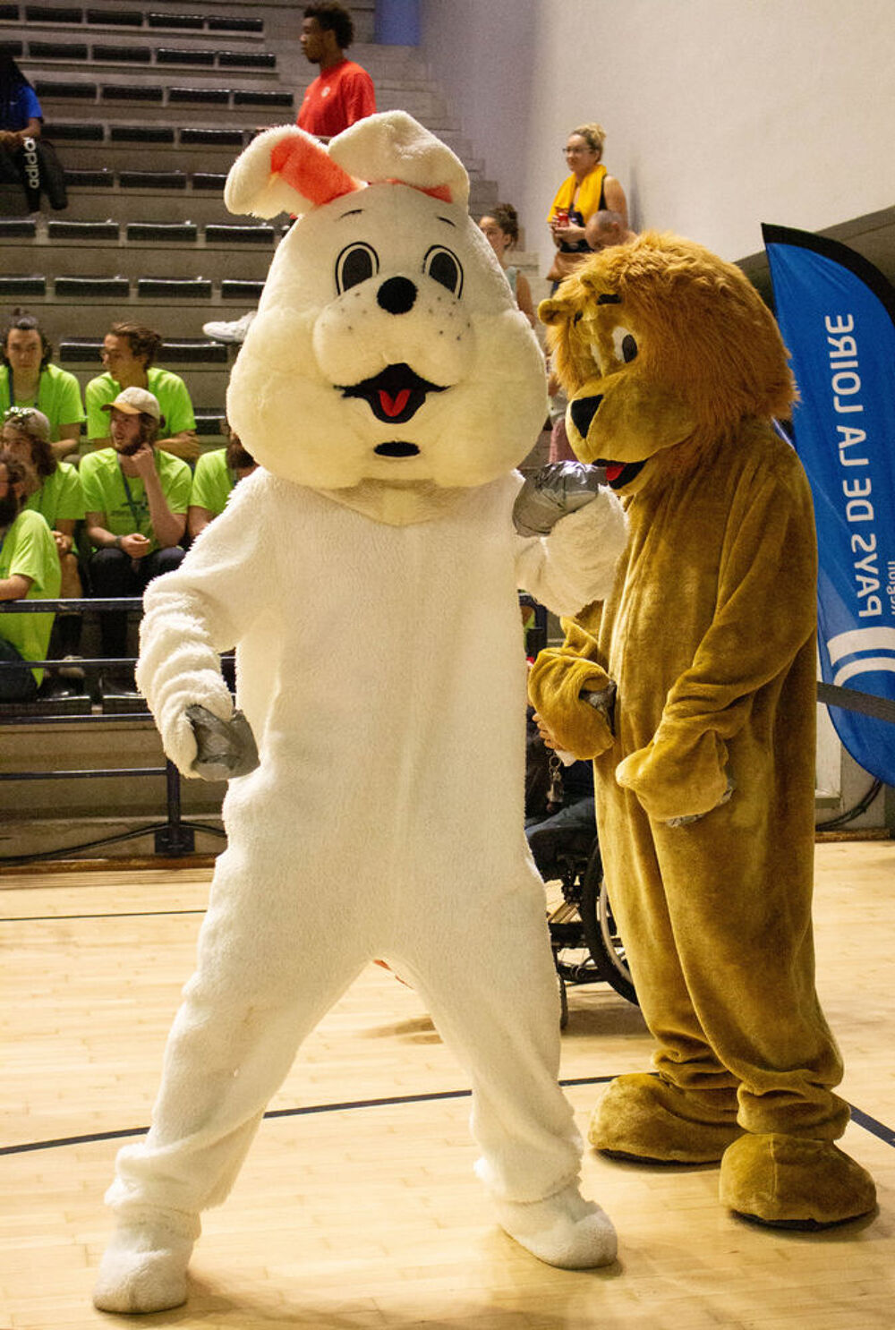 mascotte sportive Vêtements