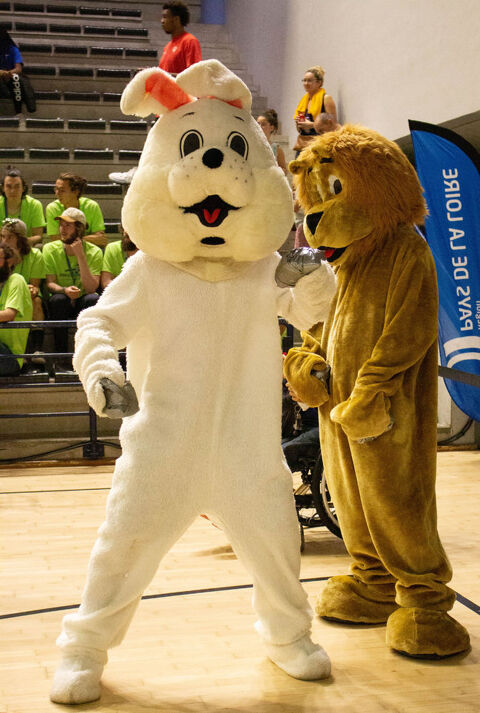 mascotte sportive 50 Sainte-Gemmes-sur-Loire (49)