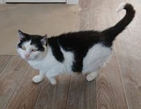   Pandore, europ�enne noire et blanche, 9 ans 