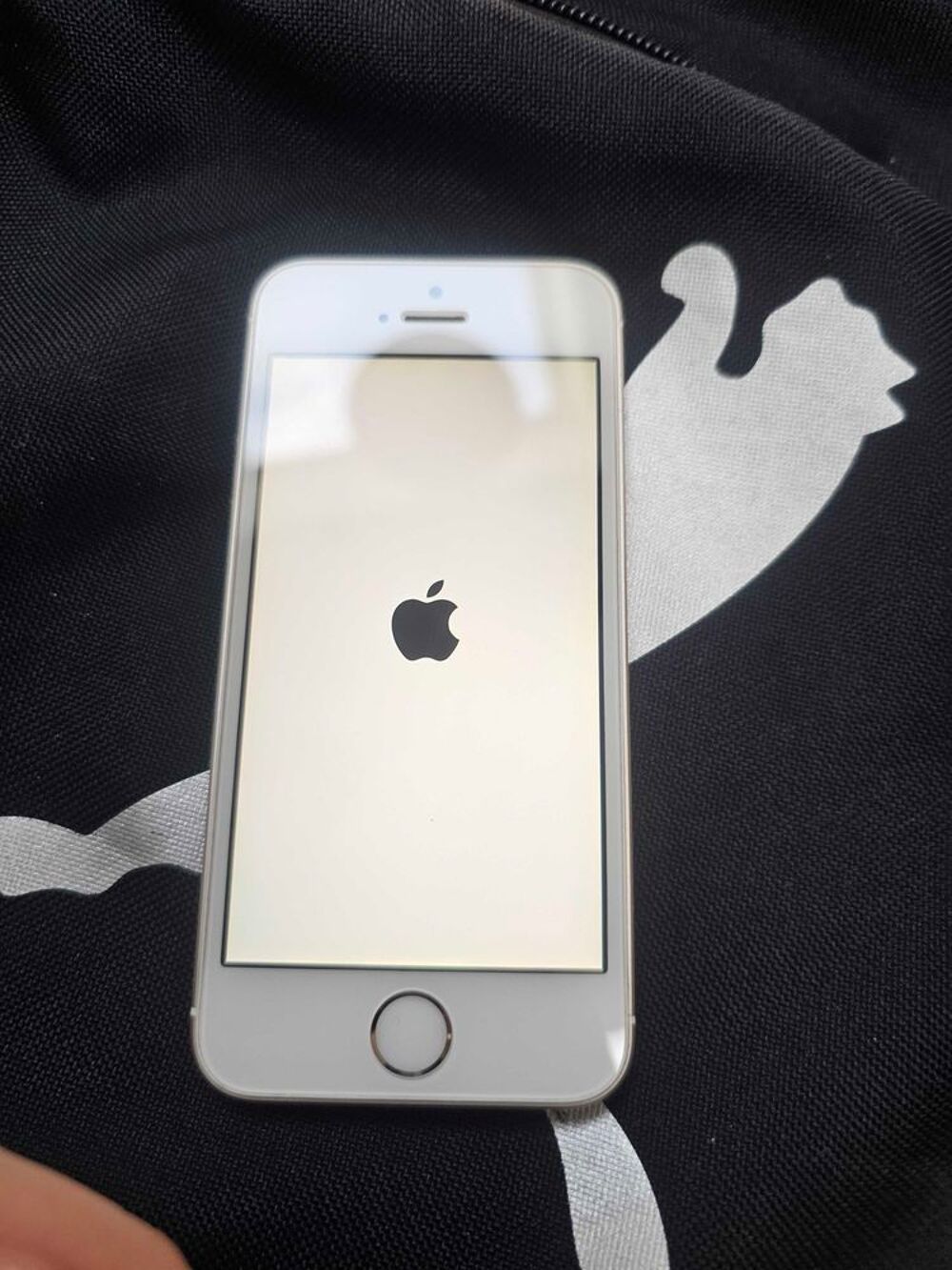 IPhone+SE+++Chargeur+++coque+++&eacute;cran+de+protection+(batterie+neuve+100%) Téléphones et tablettes