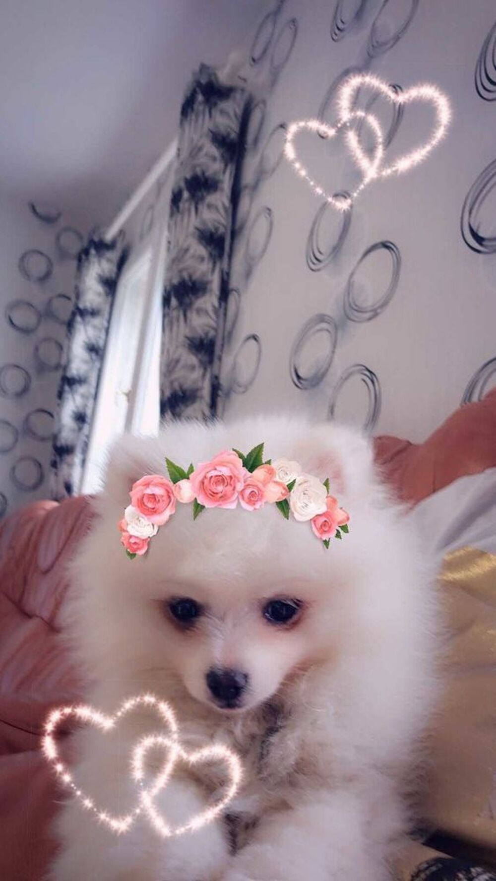 chiot Sports