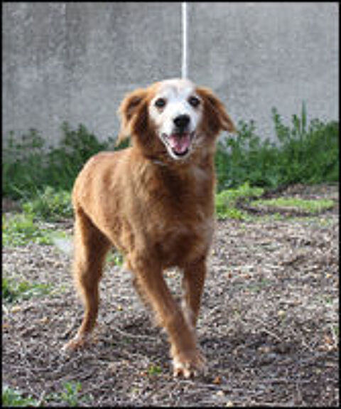   Petite LUNA cherche une famille 