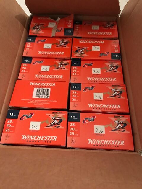 250 cartouches winchester 60 Nice (06)
