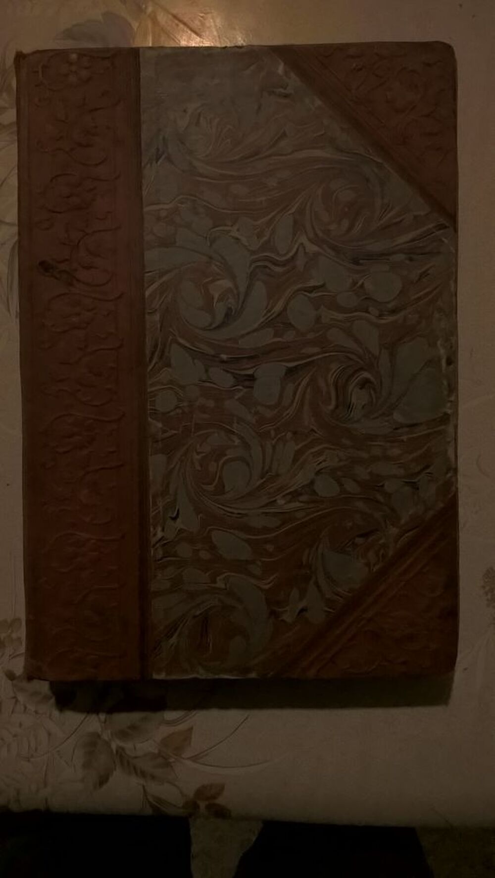 Livre FRAN&Ccedil;OIS BOURNAND Ann&eacute;e 1901. 