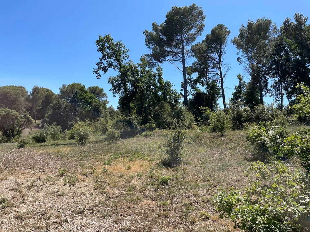 Vente Terrain terrain  de 2800 m2 a Pont Saint Esprit Pont-saint-esprit