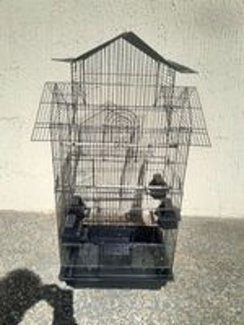   Accessoires oiseaux  