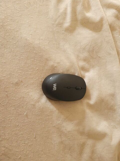 une souris pour ordinateur Draguignan (83)