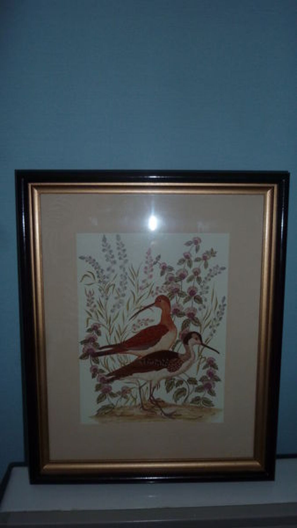 CADRE gravure oiseaux Décoration