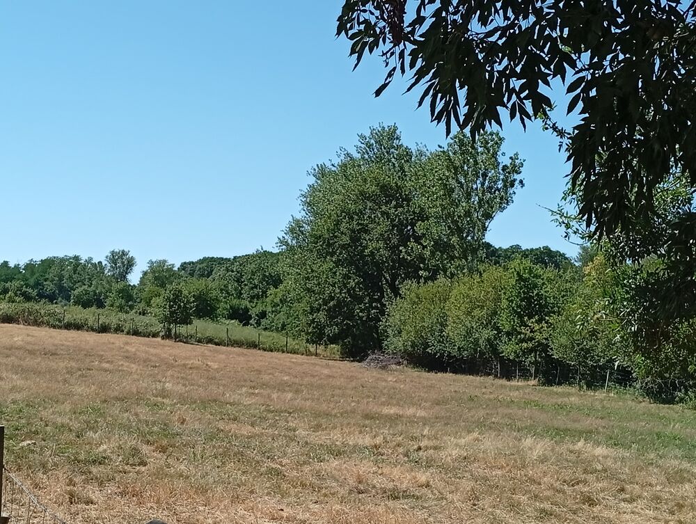 Vente Terrain Terrain au calme proximité de Rieumes Plagnole