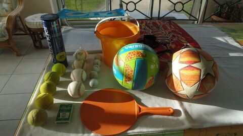 Jouets de plage ( chaise , body board , ballons etc ... ) 10 Sabl-sur-Sarthe (72)