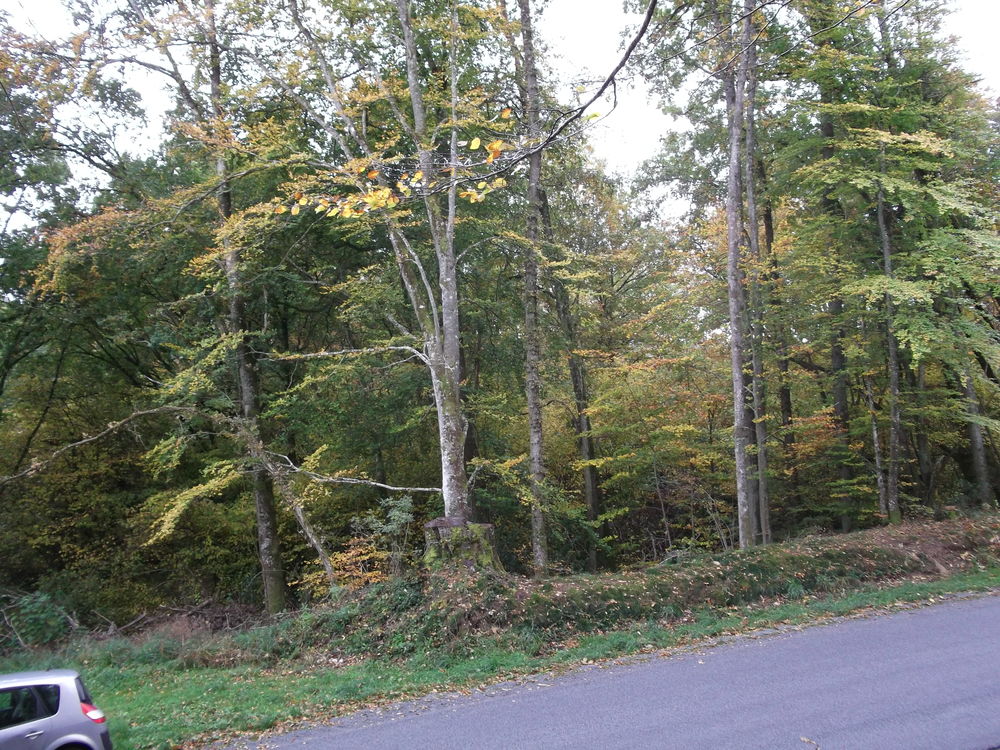 Vente Terrain Terrain de loisir boisé 1Ha 10km de Guéret (23) Saint-silvain-montaigut