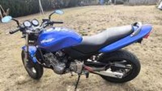 HONDA 2000 occasion 24140 Saint-Julien-de-Crempse