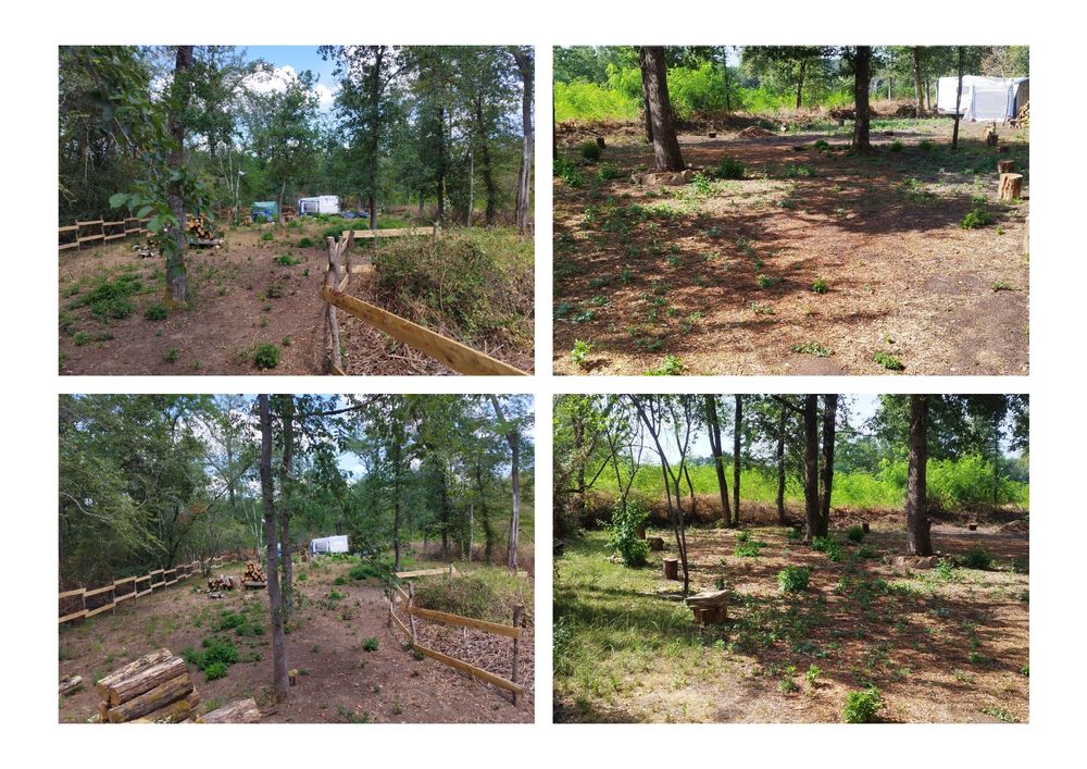 Vente Terrain Terrain de Loisir Forestier ( Taillis ) Farges-allichamps